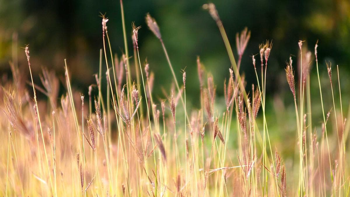 Aboboyaa Group CEO Donates Motorcycles to NACOC Ashanti Command to Bolster Anti-Drug Operations