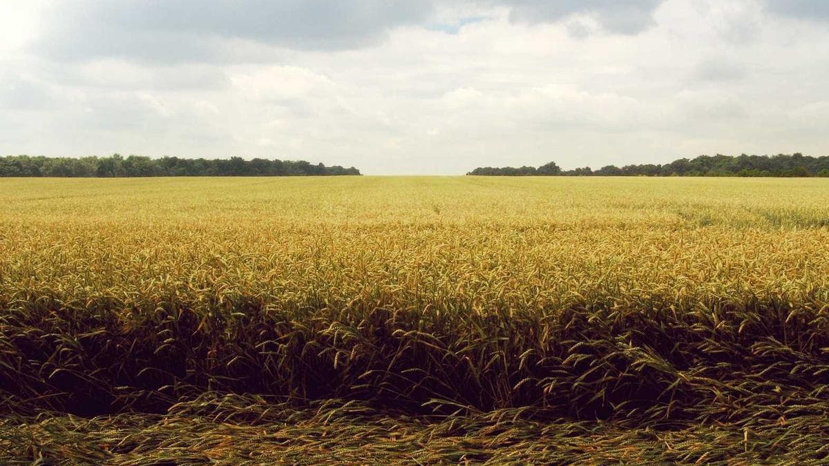 Ghana and Afreximbank Resolve $750 Million Facility Issues, Strengthening Economic Ties