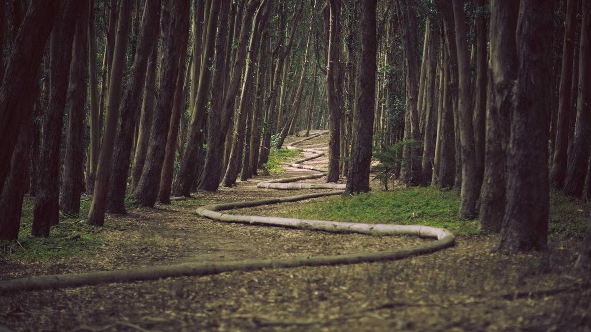 Emotional Turmoil: Woman Torn Between Family Loyalty and Witchcraft Accusations Against Her Mother