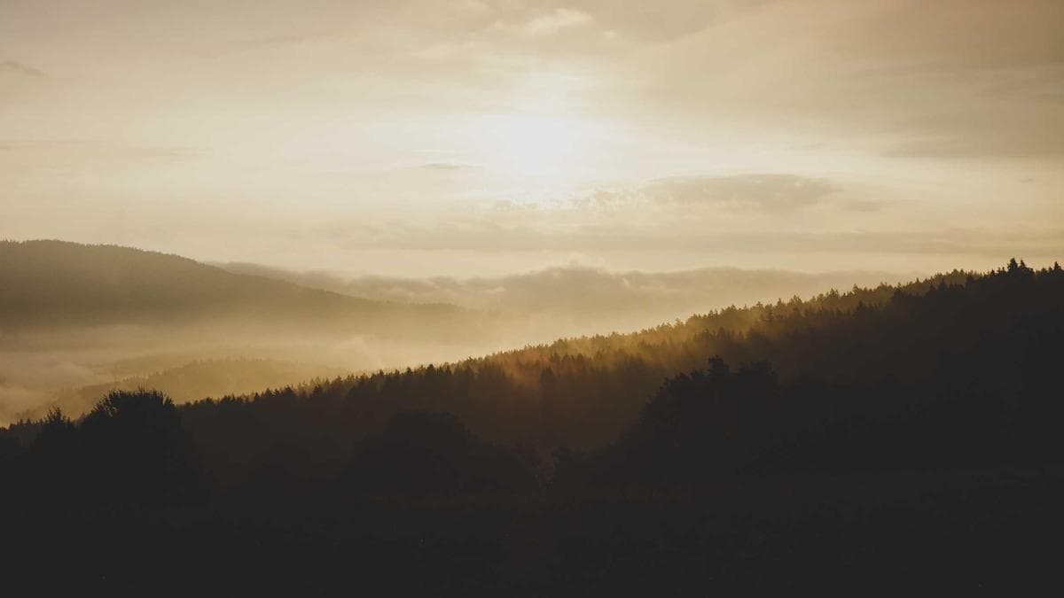 Tragedy on the Highway: Berekum Chelsea Mourns as Armed Robbery Attack Claims Life of Young Star Dominic Frimpong