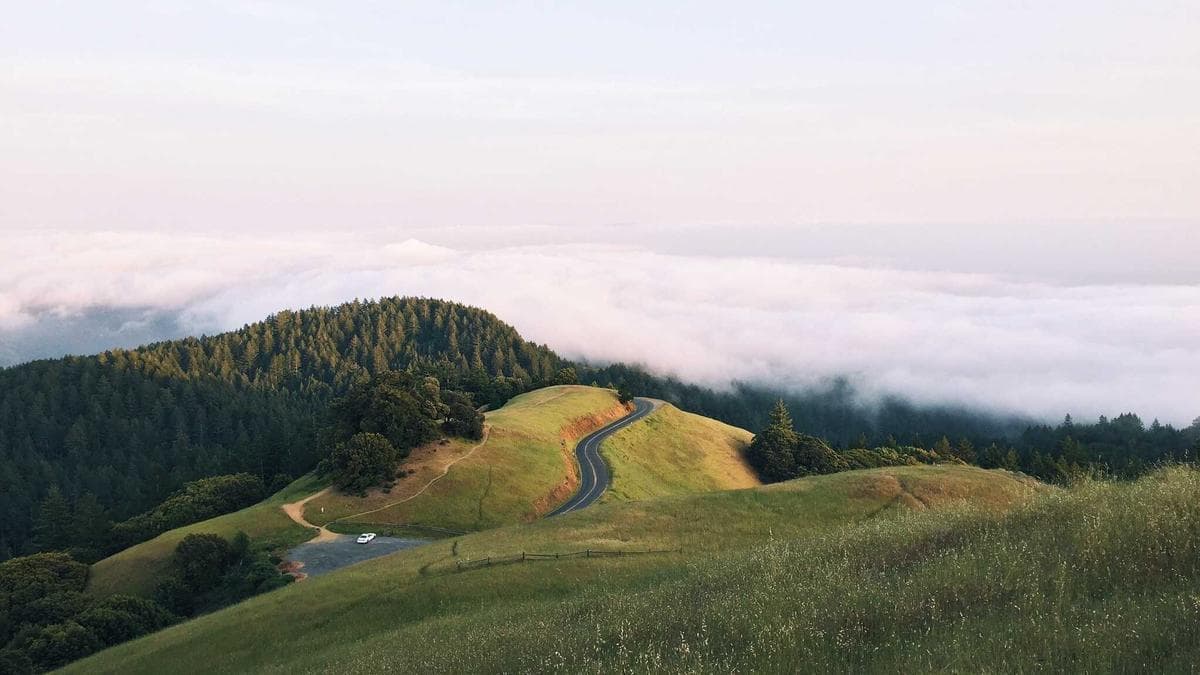 National Democratic Congress Marks 34th Anniversary Amid Fluctuating Approval Ratings and Minority Criticisms of Governance
