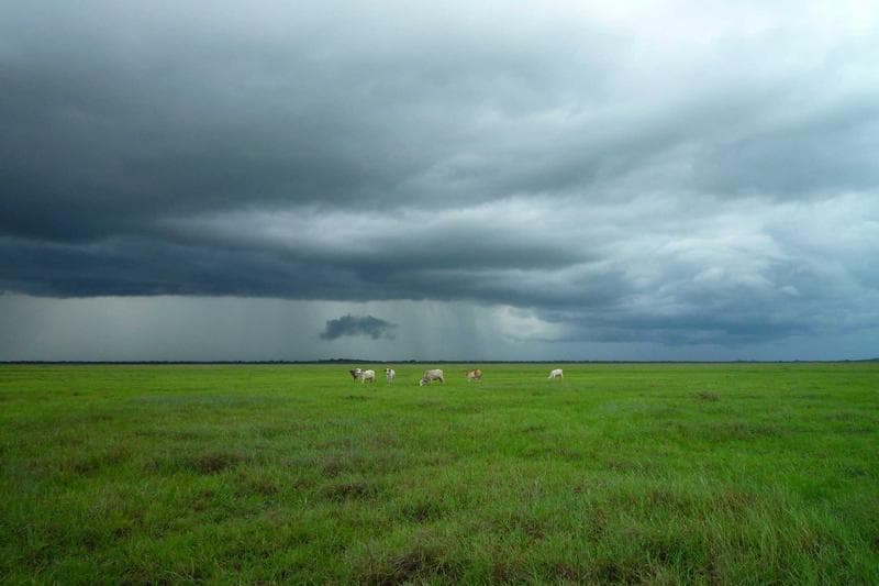Government Interventions Drive Agricultural Growth in Upper East Region