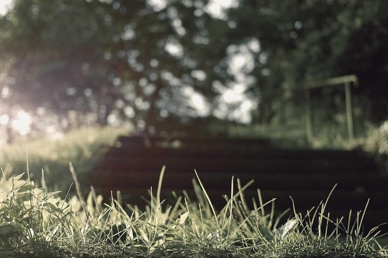 Media Group Challenges ADUG's 15% Vehicle Price Cut Claims, Demands Greater Transparency