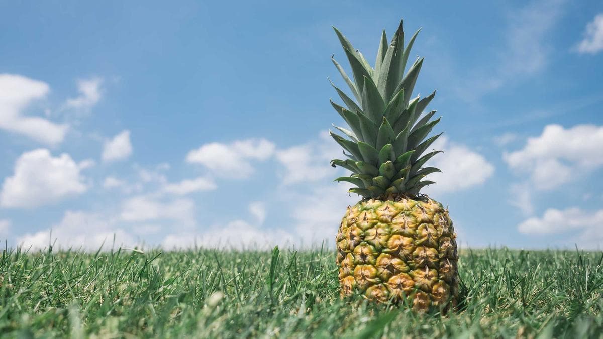 IFC Reports Surge in Business Proposals in Ghana, Focusing on Renewable Energy