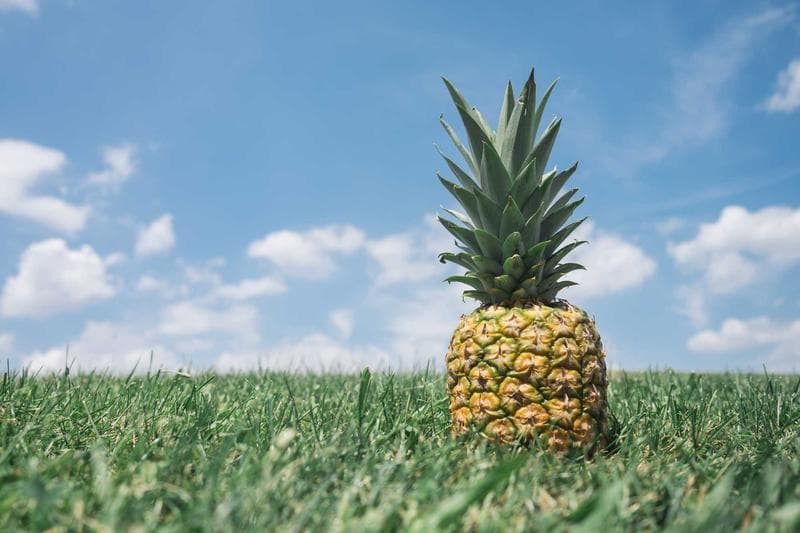 IFC Reports Surge in Business Proposals in Ghana, Focusing on Renewable Energy
