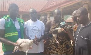 Government Launches 'Nkoko Nketenkete' Poultry Initiative in Bosome Freho to Boost Local Production