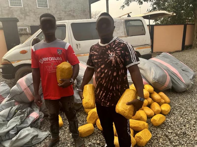 Volta North Police Intercept 648 Parcels of Narcotics; Two Arrested Following Failed Bribery Attempt