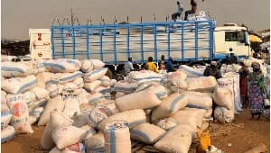 Ghana's Economic Shift: 24-Hour Economy Bill Passes Amid Local Farming Crisis and Global Retail Restructuring