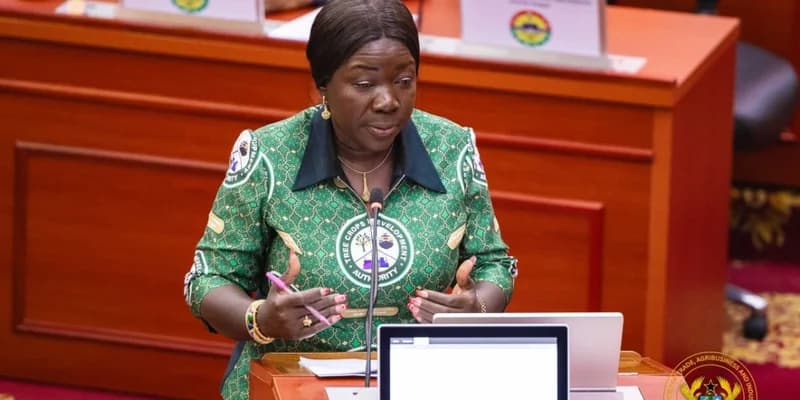 Ghanaian Authorities Respond to Regional Security Threats and Domestic Public Health Concerns