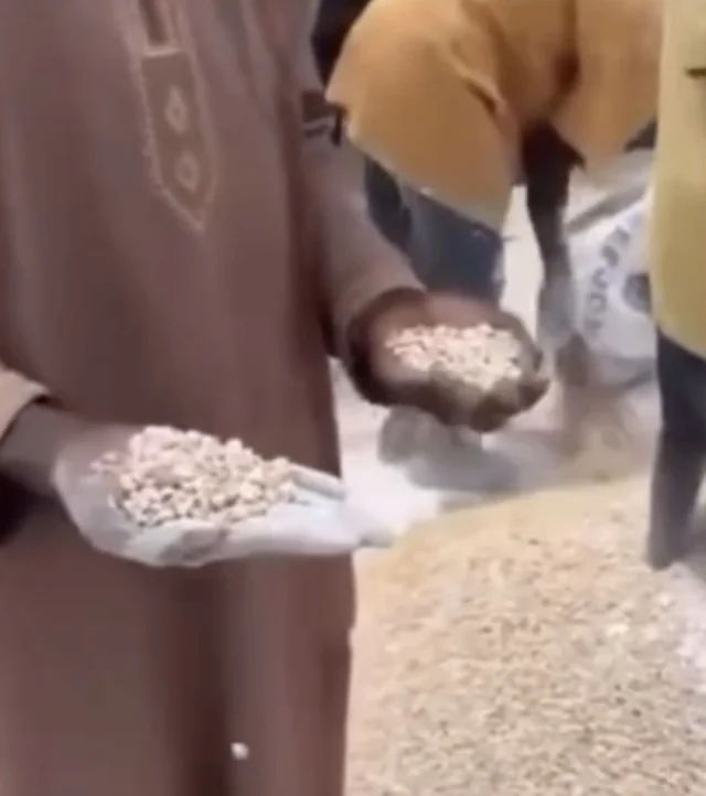 FDA Clarifies Viral Video: Cement-Preserved Beans Not Linked to Ghana