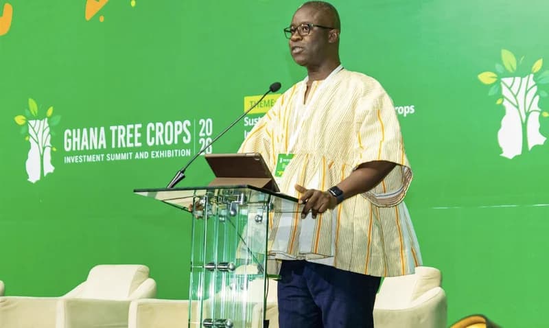 Government Faces Scrutiny Amid Petroleum Contract Extensions and Ambitious Sectoral Reforms