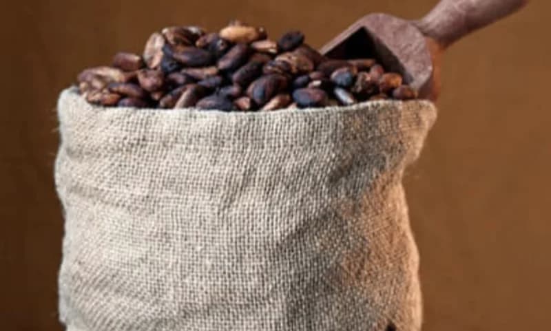 Western North NPP Demands Apology from NDC Lawmakers Over Cocoa Price Silence