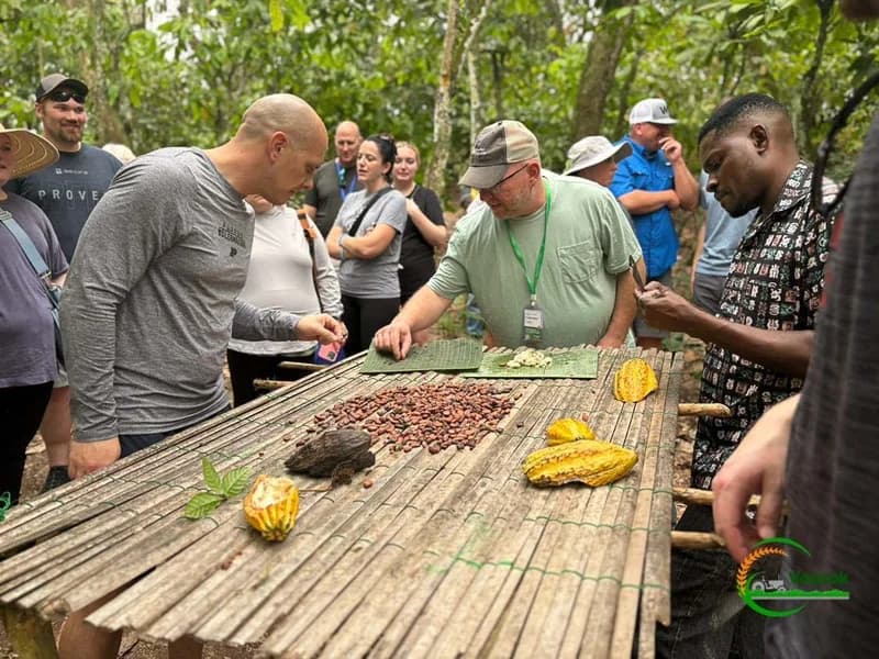 Ghana Reimagines Agribusiness: From Local Cocoa Processing Drives to International Partnerships and a Cashew Boom