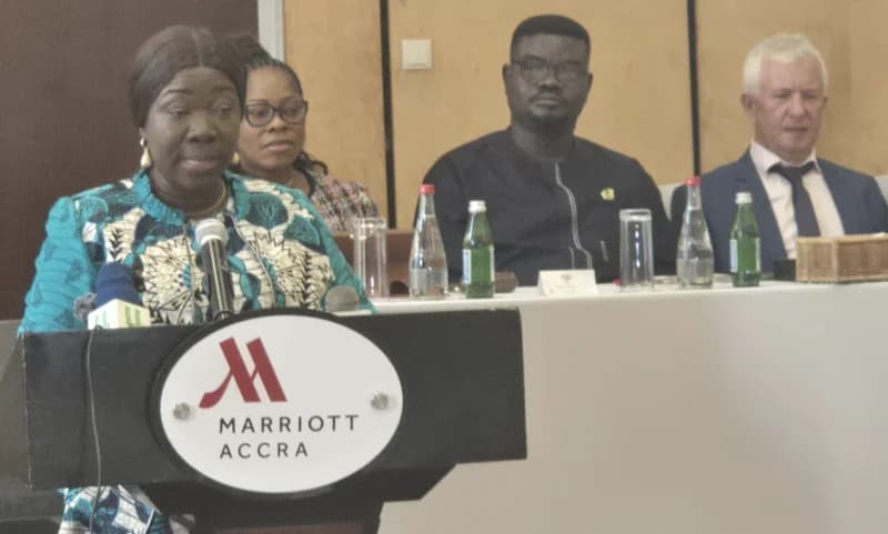 Ghana Enhances Economic Resilience Through Digital Trade Security and Local Industry Promotion