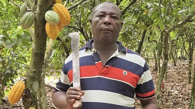 Ghana’s Agribusiness Evolution: Agrotech Innovation and Infrastructure Gains Face Cocoa Sector Volatility