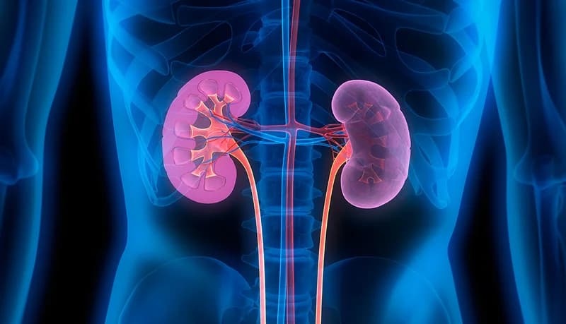 Health Experts Warn as 4 Million Ghanaians Face Silent Kidney Disease Crisis