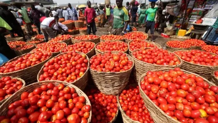 Ghana Navigates Burkina Faso Tomato Export Ban with Diplomatic Talks and Calls for National Emergency Strategy