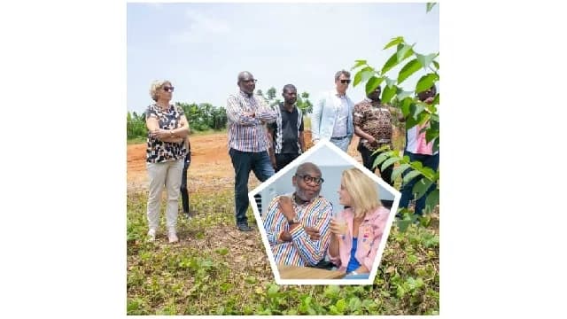 Ghana Accelerates Economic Growth Through Youth Empowerment, Logistics Infrastructure, and Agro-Industrial Reforms