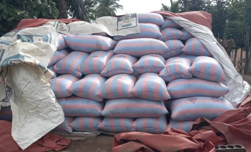 West Africa Regional Update: Cultural Landmarks, Agricultural Hurdles, and Institutional Integrity