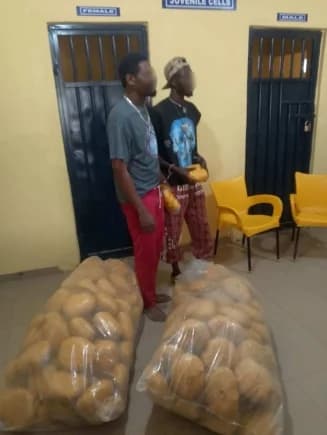 Ghana Law Enforcement Intensifies Crackdown on Narcotics, Violent Crimes, and Fraud
