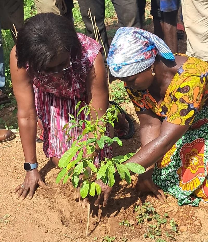 Ghana Grapples with Human Trafficking and Environmental Threats Amidst Surge in Community-Led Initiatives