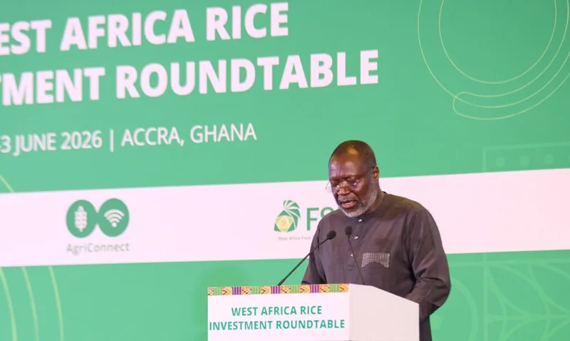 ECOWAS Targets Rice Self-Sufficiency by 2035 to Slash $4bn Annual Regional Import Bill