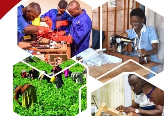 Ghana’s Education Sector Faces Mounting Financial Strain as Suppliers and Training Providers Demand Unpaid Dues