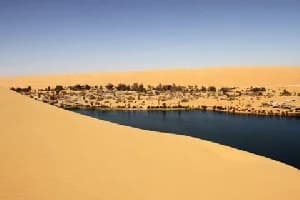 Sahara Desert Tragedy: 49 Nigerien Nationals Die of Thirst After Truck Breakdown Near Assamaka
