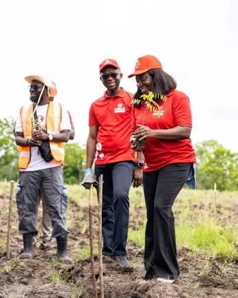 NADMO, Telecel Ghana, and Forestry Commission Scale Up Environmental Conservation and Flood Prevention Efforts