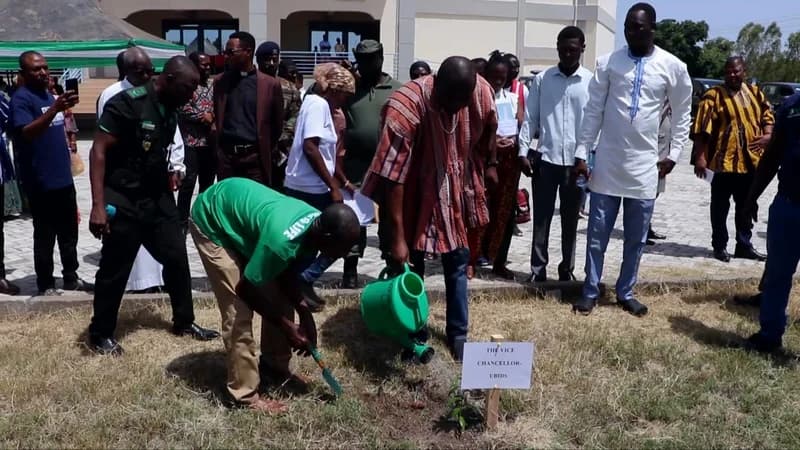 West African Conservation Efforts Intensify as Ghana Launches Reforestation Drive and Nigeria Rescues Endangered Forest Elephant
