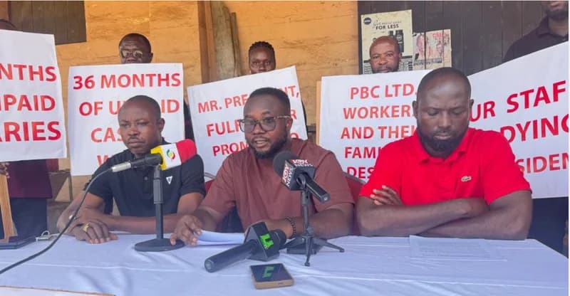 Oppong Nkrumah Proposes Five-Point Strategy to Combat Rising Youth Unemployment as PBC Workers Demand 27 Months of Arrears