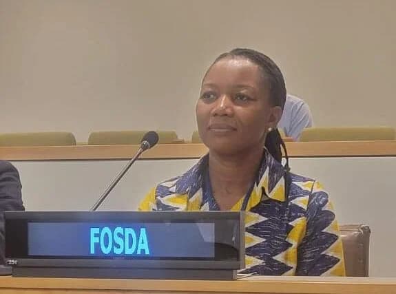 FOSDA calls for stronger action to prevent diversion of small arms and light weapons