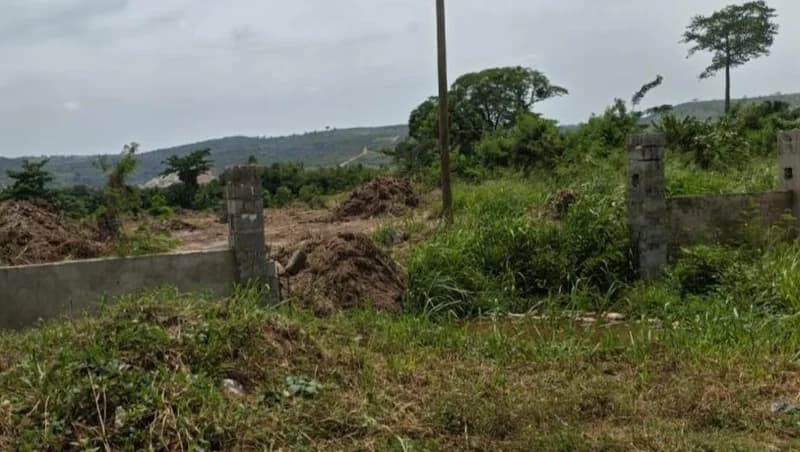Ghana Bolsters Environmental Protection: Barekese Catchment Undergoes Reforestation as Dodowa Residents Fight to Save Sacred Forest