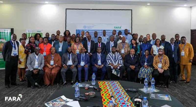 Strengthening Africa’s Agricultural Future: Innovation, Diversification, and Strategic Partnerships Address Rising Food Demand