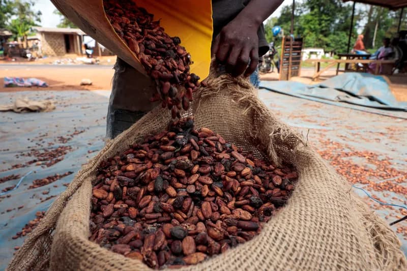 Ghana and Côte d’Ivoire Strengthen Cocoa Partnership as Government Shields Farmers from Global Price Slump