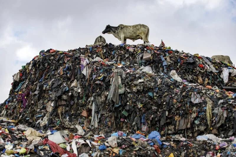Over 400,000 Ghanaian Schoolchildren Exposed to Toxic Pollution as Global Climate Risks Mount