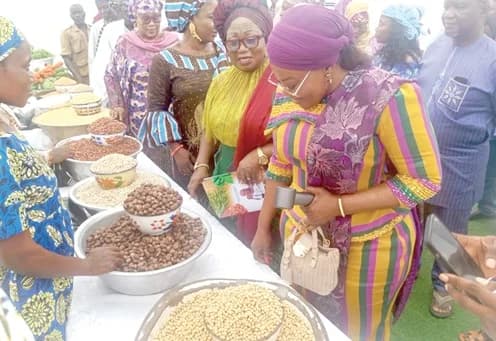 Ghana Strengthens Human Capital through 'She Grows' Initiative, Youth Committees, and Japanese Educational Partnerships