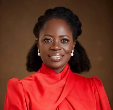 Ghana’s Economic Landscape Faces Mixed Outlook as Government Misses Debt Targets Amid Gold Price Volatility