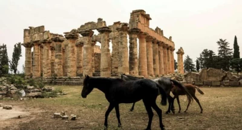 Libyan Archaeologists Battle Climate Change and Looting to Save Ancient Greek Heritage at Cyrene and Apollonia