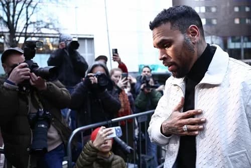 Jury says Chris Brown owes housekeeper $13 Million for disfigurement in dog mauling attack