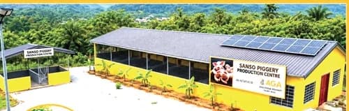 The new piggery facility built by AngloGold Ashanti mines