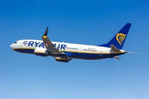 Fatal Travel Accidents in Vietnam and Bahamas and Near-Disaster on Ryanair Flight