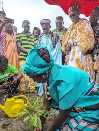 Ambassador calls for urgent action to protect Ghana's shea trees on Shea Day