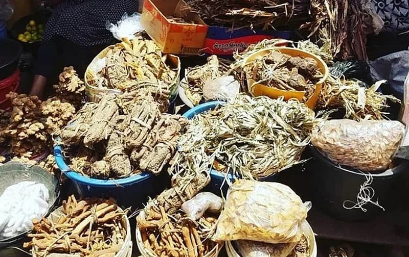 Traditional Medicine Practice Council Shuts Down 30 Facilities in Ashanti Region Over Regulatory Breaches