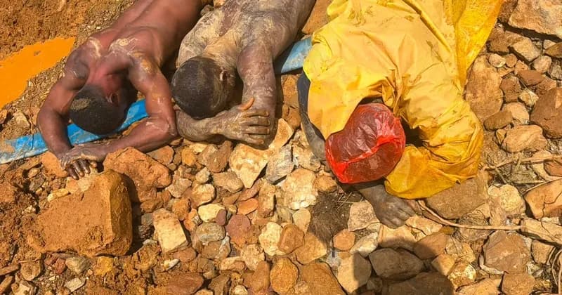 Ghana’s Agricultural Sector Under Siege: Mining Crackdown Leads to 12 Arrests as Advocates Warn of Rising Food Insecurity