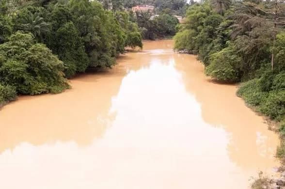 Lands Minister Reports Loss of 8,900 Hectares to Illegal Mining as Tano North Chiefs Petition President Mahama