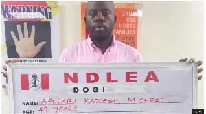 Nigerian Social Media Influencer 'KC Luxury' Arrested in $28 Million Cocaine Trafficking Sting
