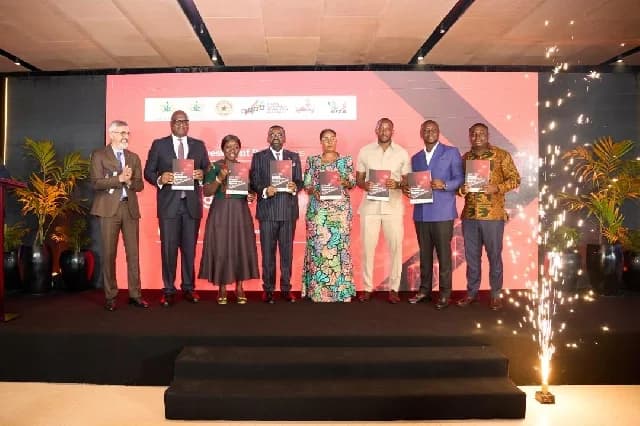 Ghana Records $2.62bn FDI in 2025 Amid Calls for Productive Investment and Transparency Over $1.7bn Gold Program Losses