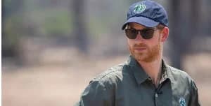 Prince Harry Resigns from African Parks Board Following Human Rights Abuse Allegations