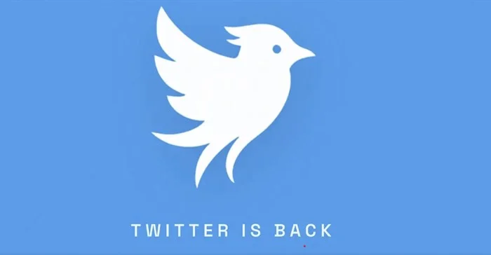 Former Twitter Lawyer Launches Twitter.now, Sparking Legal Battle Over Abandoned Branding with Elon Musk's X